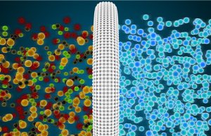 The downstream demand for microfiltration membranes is strong and national policies provide a good development environment for it