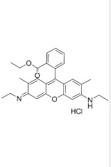 Rhodamine 6G