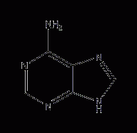 Adenine structural formula